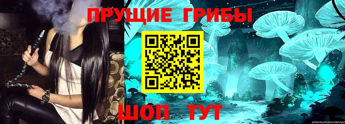 Псилоцибиновые грибы Cubensis Новочебоксарск