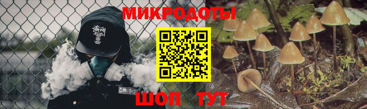 даркнет сайт  Вход с VPN  Новочебоксарск  Галлюциногенные грибы Magic Shrooms 